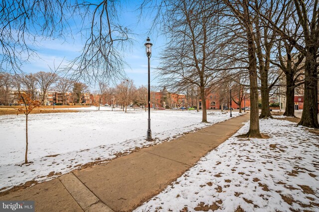 view of yard covered in snow