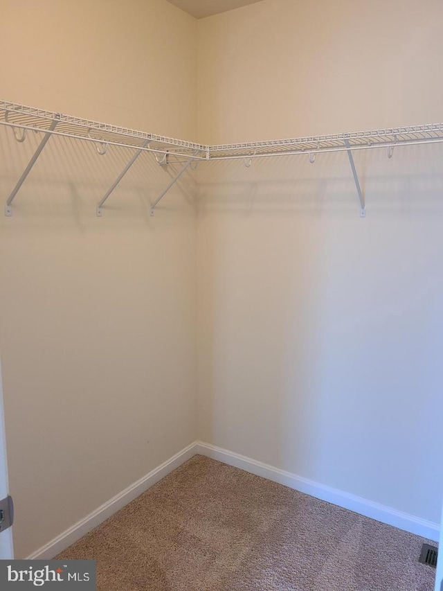 walk in closet with carpet flooring