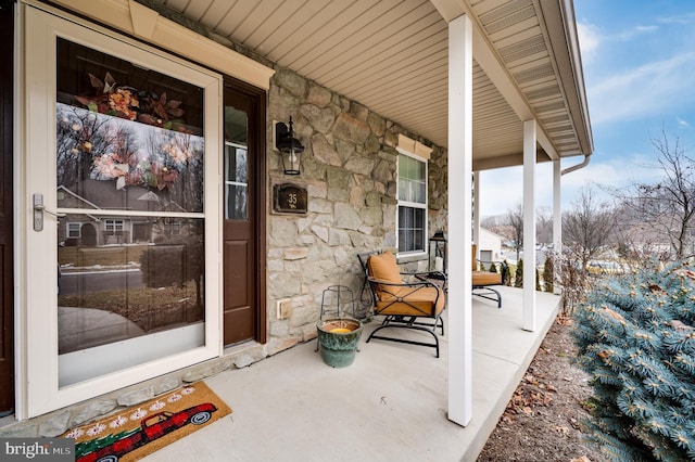 view of patio / terrace with a porch