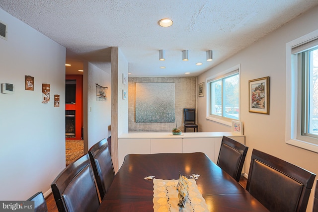 dining room featuring a textured ceiling, a fireplace, and plenty of natural light