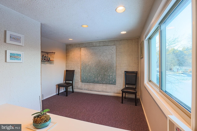 sitting room featuring a textured ceiling and carpet floors