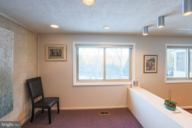 sitting room with a textured ceiling and carpet