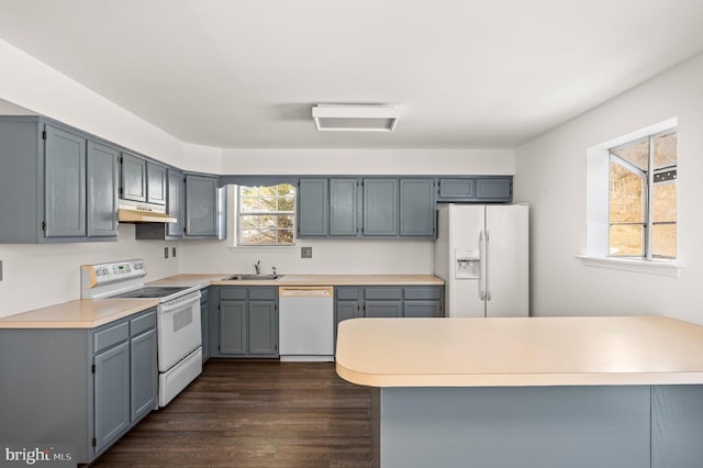 kitchen with sink, white appliances, dark wood-type flooring, gray cabinetry, and kitchen peninsula