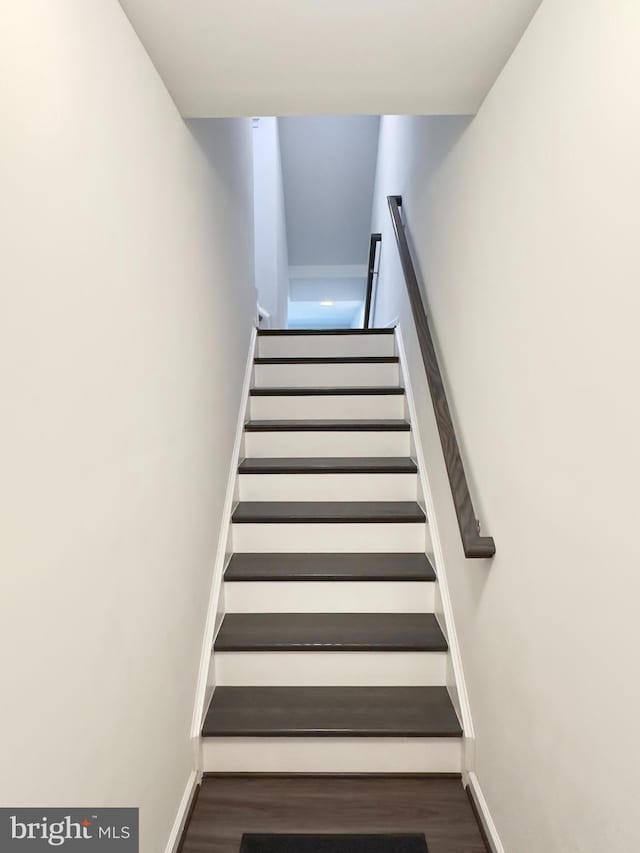 stairway with hardwood / wood-style flooring