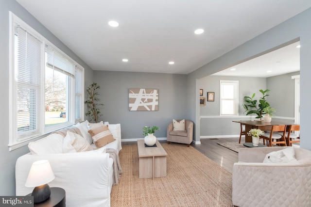 living room with hardwood / wood-style flooring