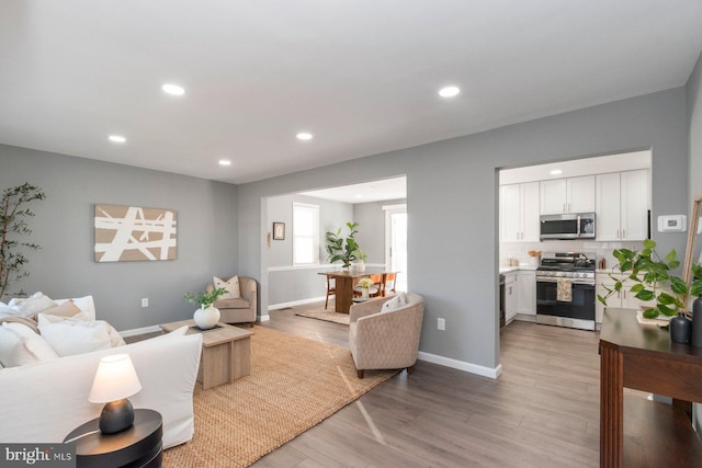 living room with light hardwood / wood-style flooring