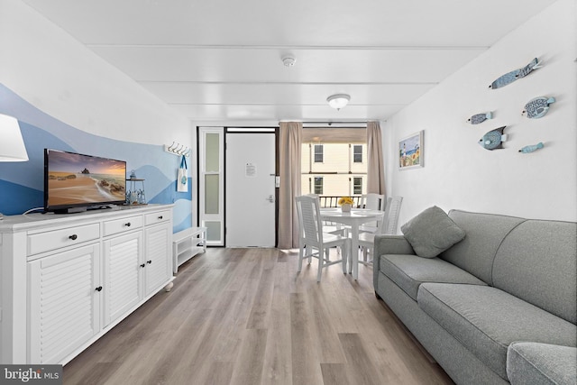 living room featuring light hardwood / wood-style floors