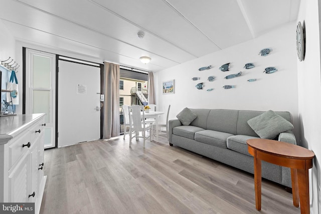 living room with light hardwood / wood-style floors