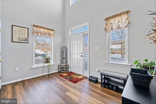 entryway with a high ceiling, wood-type flooring, and a healthy amount of sunlight