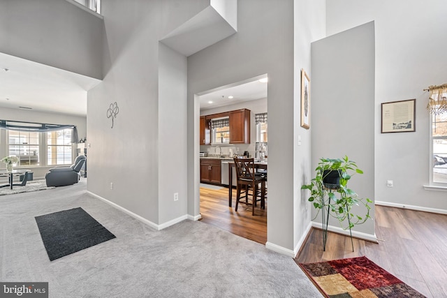 carpeted foyer with sink and a high ceiling