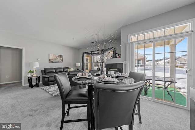 dining room featuring carpet floors