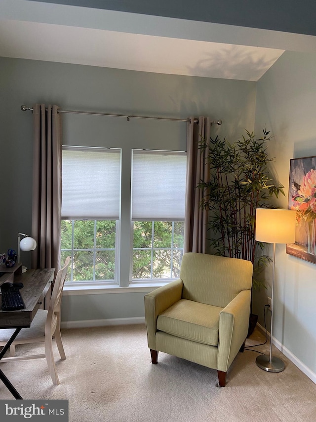 living area featuring carpet flooring