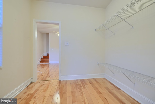 spacious closet featuring light hardwood / wood-style floors