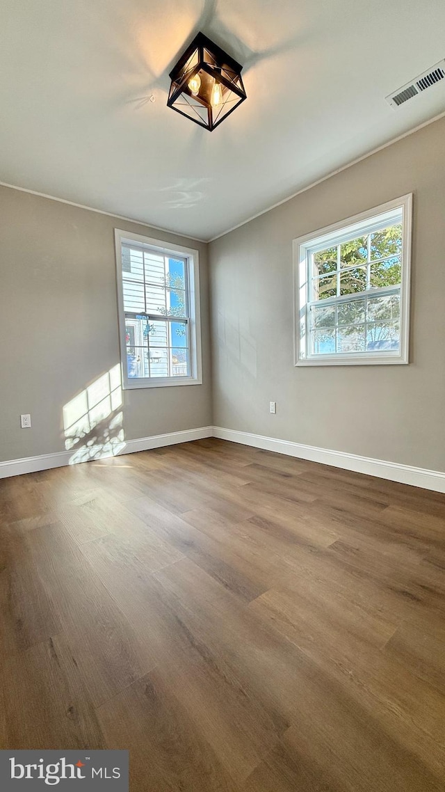 spare room with hardwood / wood-style flooring and a healthy amount of sunlight