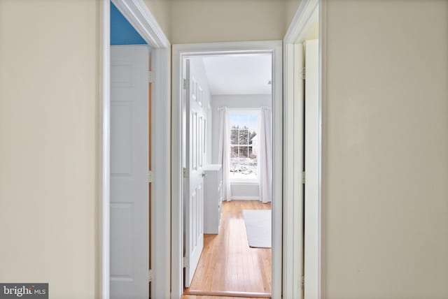 hallway with light wood-type flooring