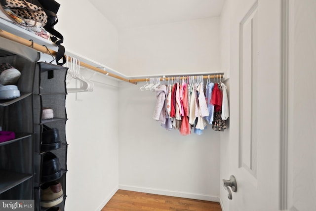 spacious closet featuring wood-type flooring