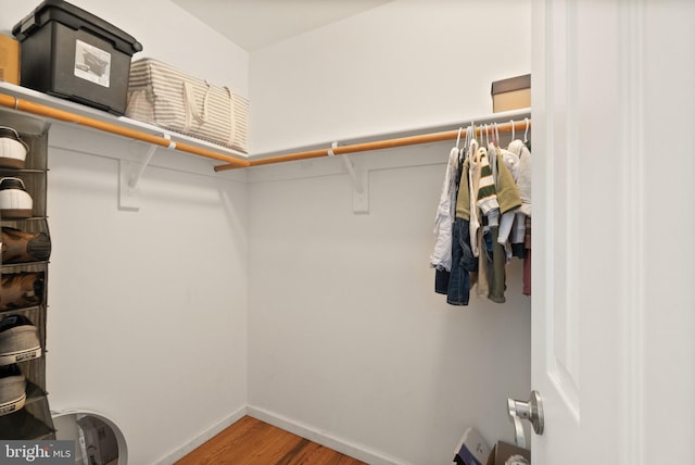 spacious closet featuring hardwood / wood-style floors