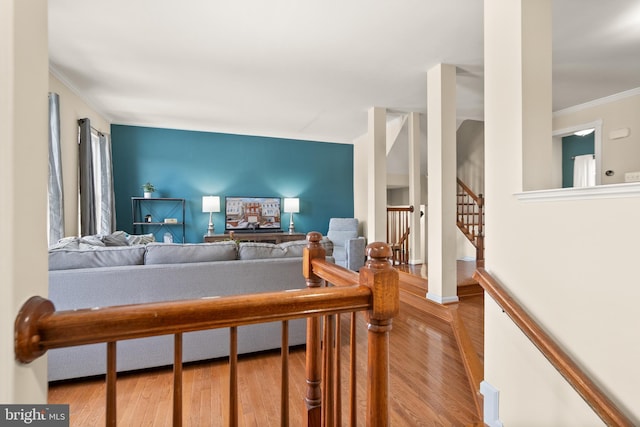 living room featuring ornamental molding and hardwood / wood-style floors