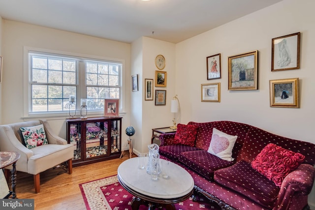 living room with light hardwood / wood-style flooring