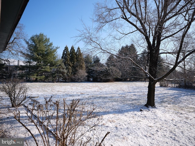 view of yard covered in snow