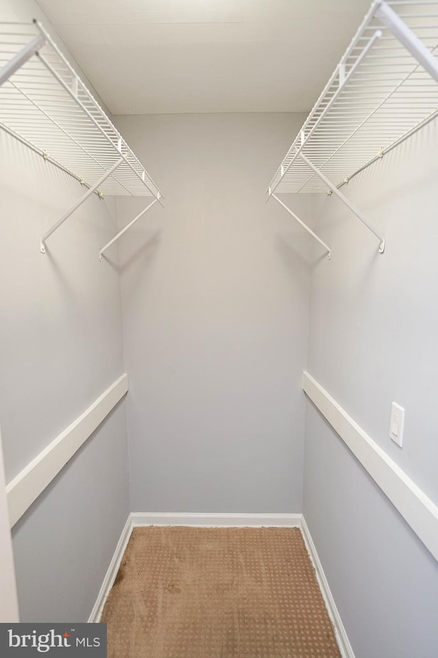 walk in closet with carpet flooring