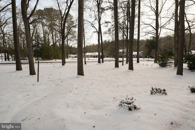 view of yard layered in snow