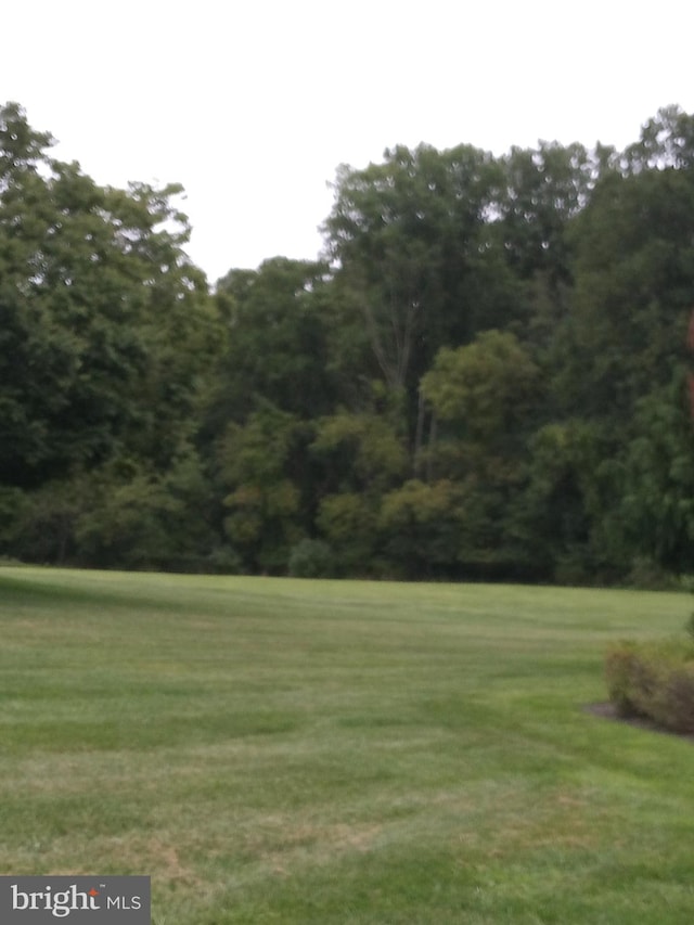 view of property's community featuring a lawn