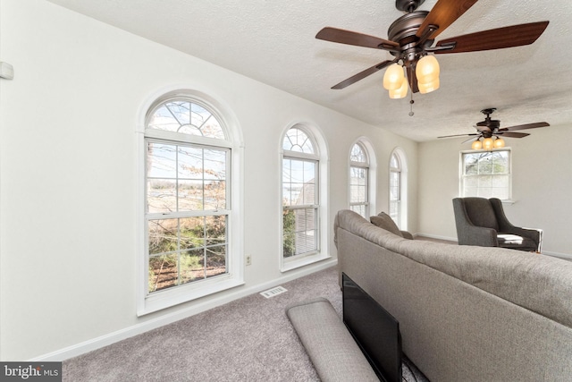 living area with carpet, visible vents, plenty of natural light, and a textured ceiling