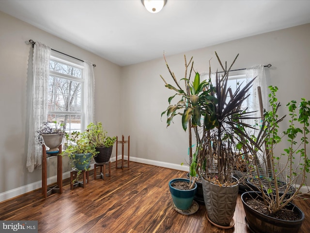 living area featuring dark hardwood / wood-style floors