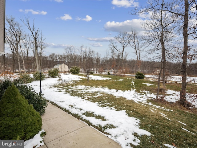 view of yard covered in snow