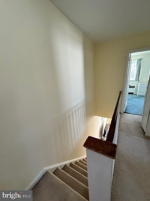 stairway featuring carpet and radiator heating unit