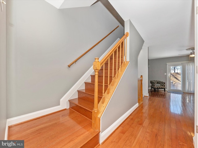 stairs featuring wood-type flooring and ceiling fan