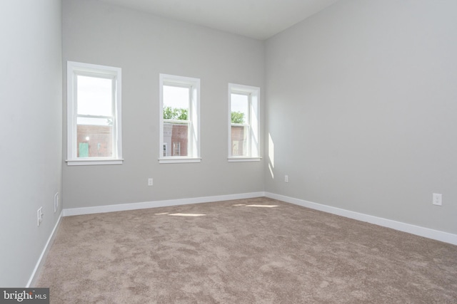 spare room with light carpet