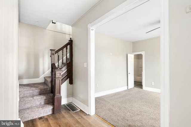 stairway with hardwood / wood-style floors