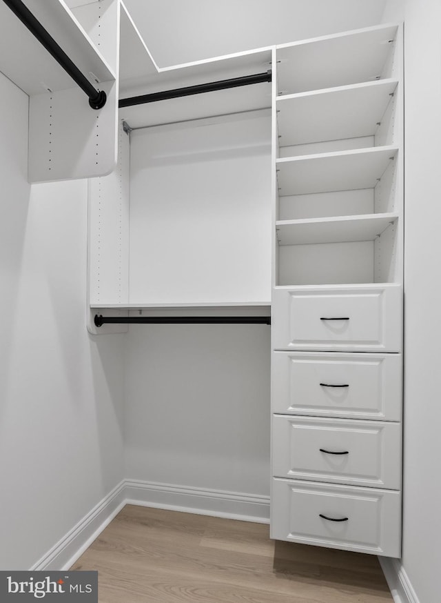 spacious closet featuring light hardwood / wood-style flooring