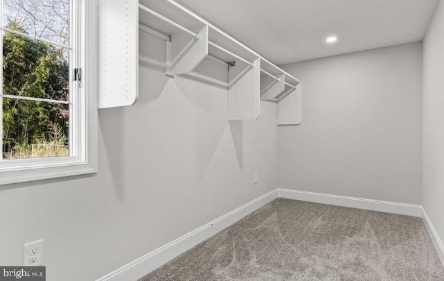 walk in closet featuring carpet flooring