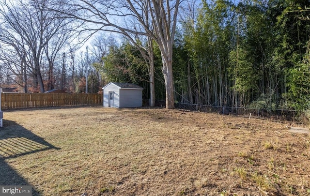 view of yard featuring a shed