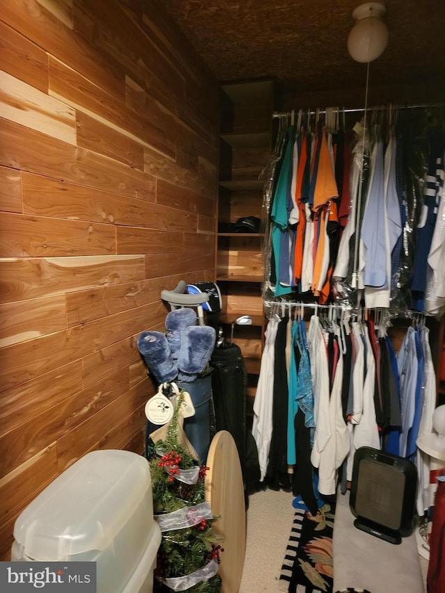 view of spacious closet