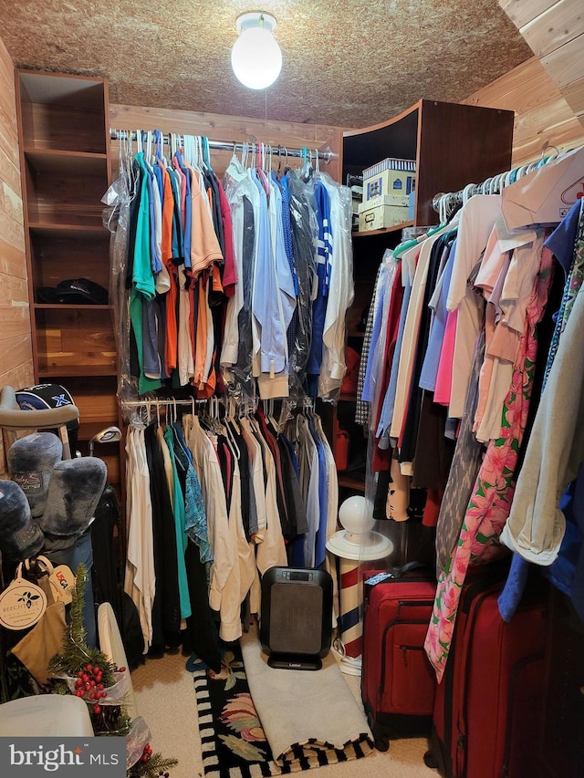 spacious closet featuring light colored carpet