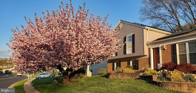 view of home's exterior with a yard