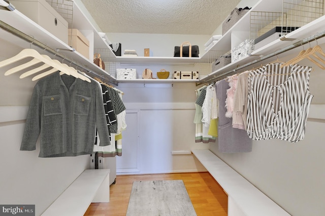 spacious closet with light hardwood / wood-style flooring