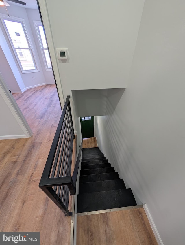 staircase with hardwood / wood-style flooring