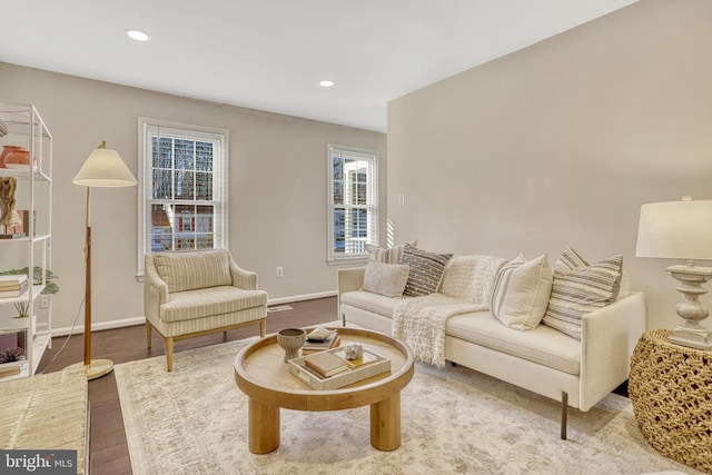 living room featuring hardwood / wood-style flooring