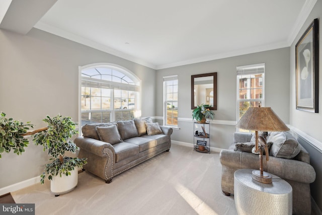 living room with crown molding and carpet flooring