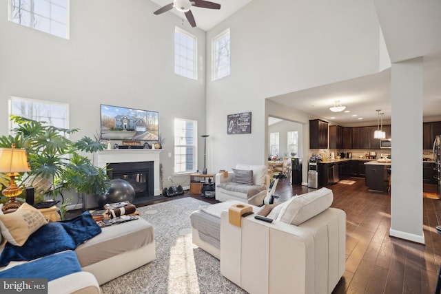 living room with ceiling fan and dark hardwood / wood-style flooring