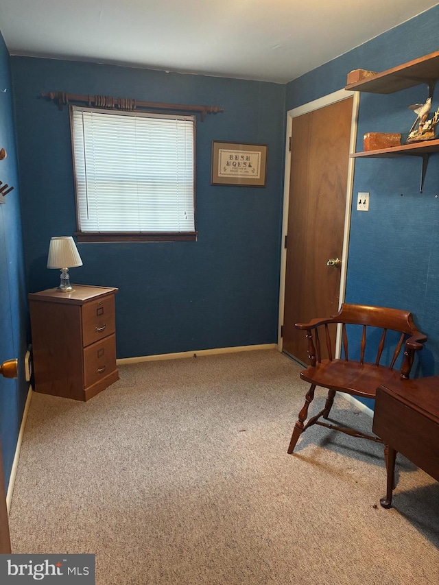 sitting room featuring carpet