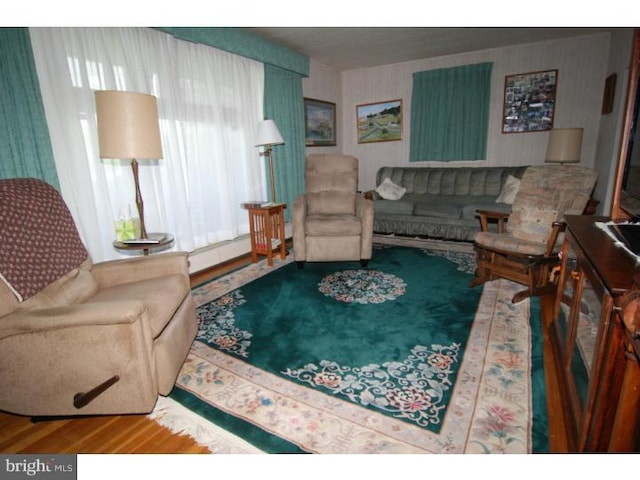 living room featuring hardwood / wood-style flooring