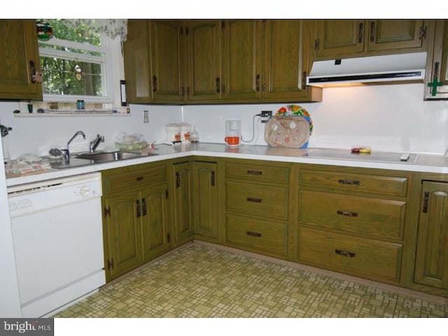 kitchen featuring sink, dishwasher, and electric cooktop