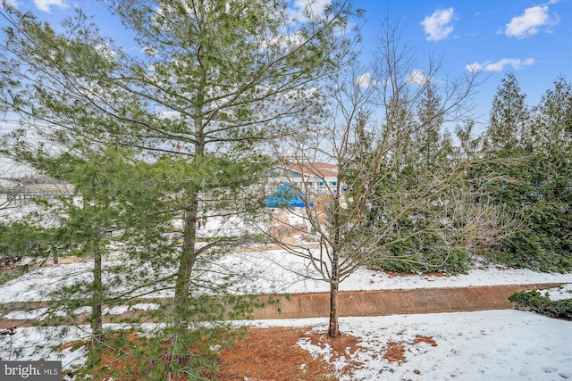 view of yard covered in snow