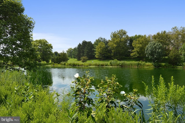 property view of water